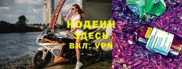 индика Оленегорск