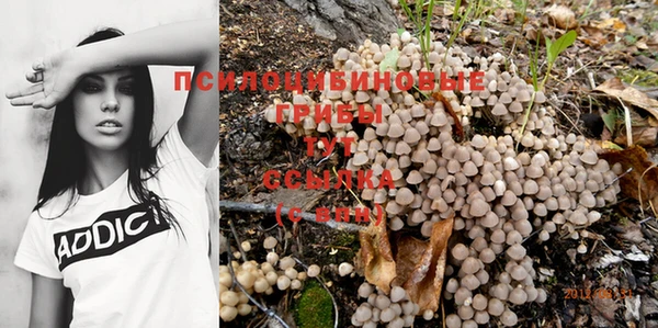 спайс Надым