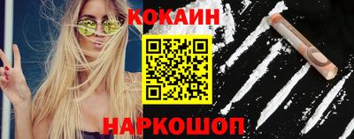 тгк Кингисепп