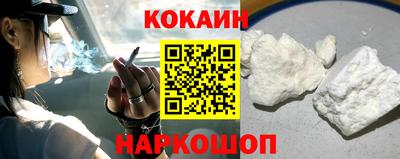 тгк Кингисепп