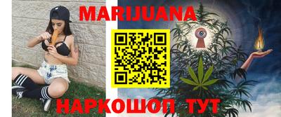 тгк Кингисепп