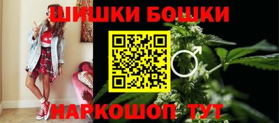 тгк Кингисепп