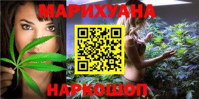 тгк Кингисепп