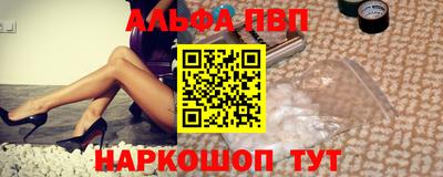 тгк Кингисепп
