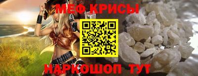 тгк Кингисепп