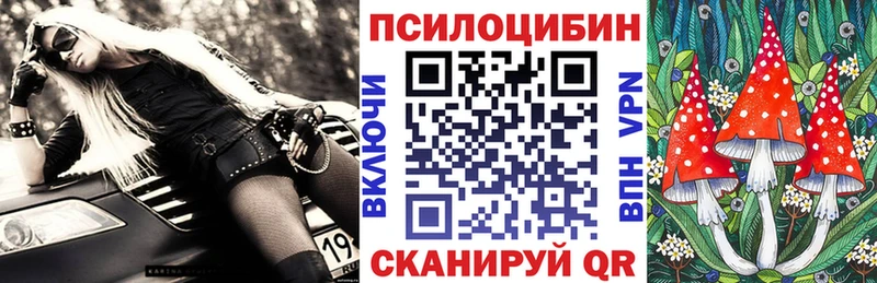 Псилоцибиновые грибы Psilocybe Нижний Тагил