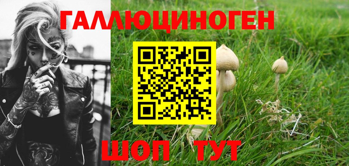 Псилоцибиновые грибы Magic Shrooms Нижний Тагил