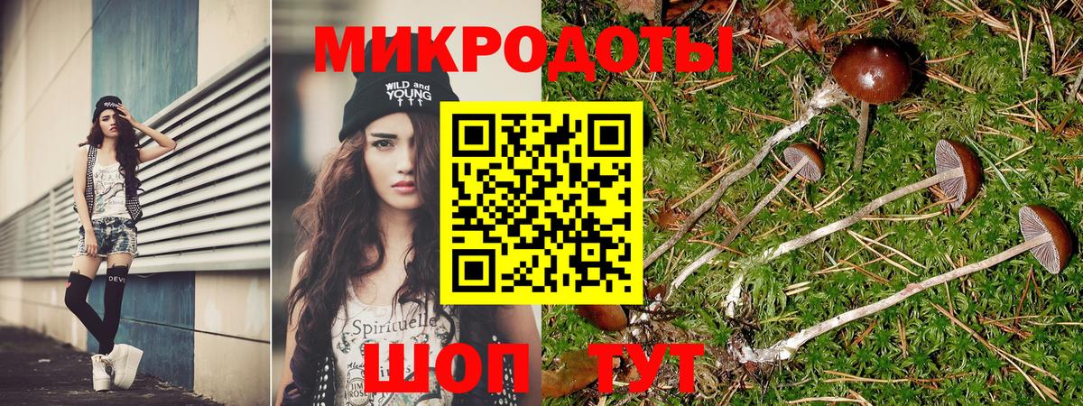 Галлюциногенные грибы прущие грибы  Вход с VPN  Галлюциногенные грибы MAGIC MUSHROOMS  цена   Нижний Тагил 
